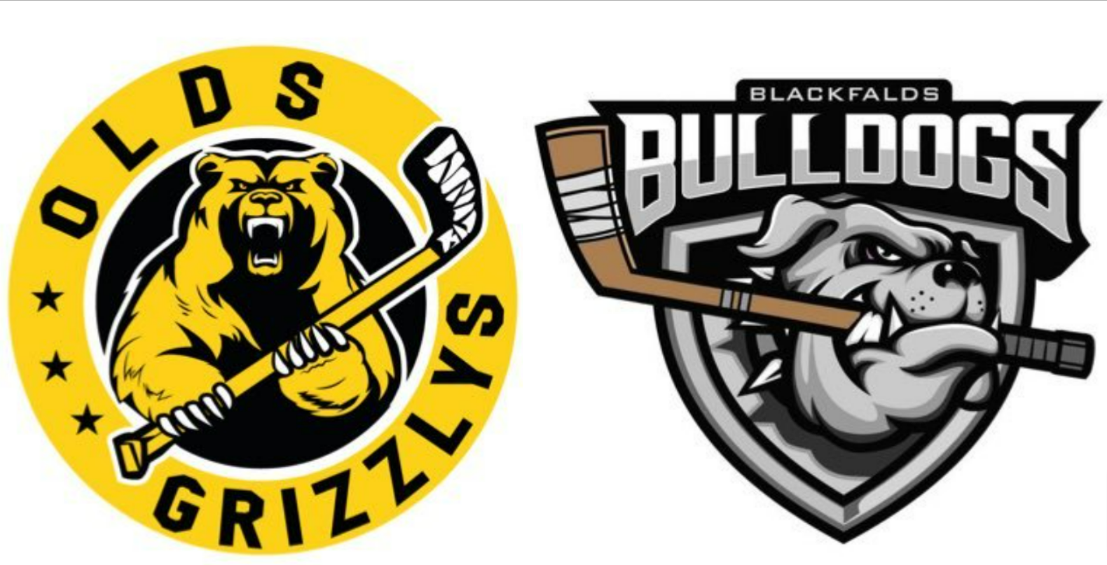 Bulldogs Give Grizzlys 6-2 New Year’s Eve Present