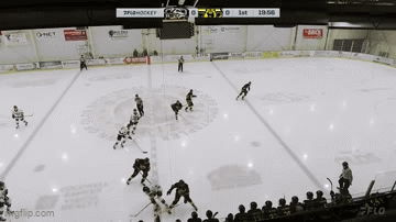 Bulldogs Defeat Grizzlys 5-1