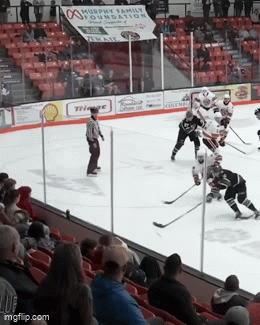 Bulldogs Lose To Trail 2-1