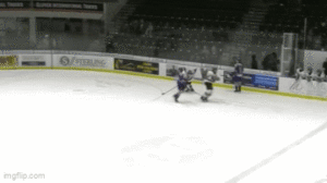 Bulldogs Defeat The Silverbacks 4-3 In Overtime