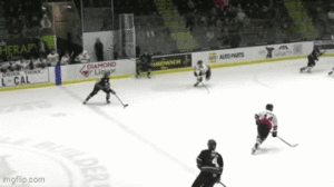 Bulldogs Down The Warriors 5-1