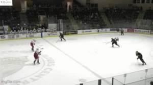 Bulldogs Win 4-3 In Overtime Against Bandits