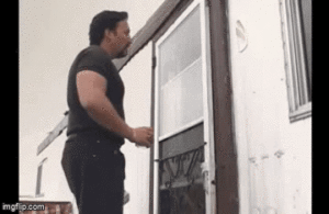 Tigers Shlunk The Rebels 10-1