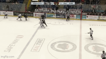 Bulldogs Drop Vipers 4-1