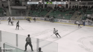 Bulldogs Defeat Oilers 6-3