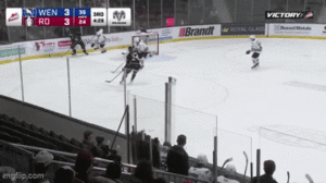 Rebels Fall To Wild 5-4 In Overtime In Game Where Every Point Is Crucial.