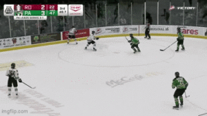 Late Heroics Not Enough: Red Deer Season Ends in Game 5 Thriller