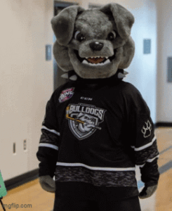 Powell River Defeats The Bulldogs 4-2